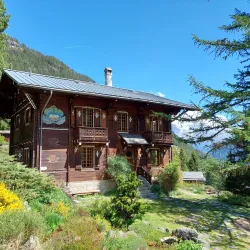 Alpine Flora and Fauna Observation - Albinen