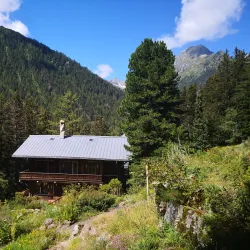 Alpine Flora and Fauna Observation - Albinen