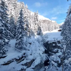 Hiking Trails Around Albinen - Albinen