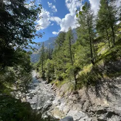 Hiking Trails Around Albinen - Albinen