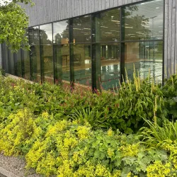 Alpenbad Altstätten - Altstätten