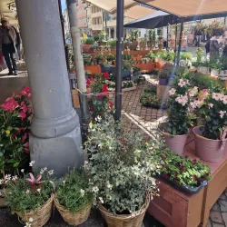 Altstätten Market - Altstätten