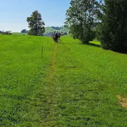 Golf Club Altstätten - Altstätten