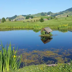 Golf Club Altstätten - Altstätten