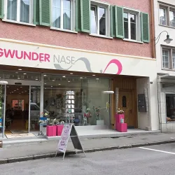 Kunsthaus Altstätten - Altstätten