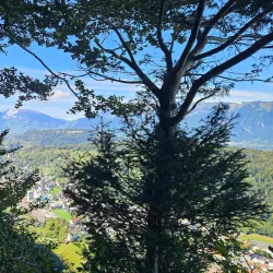 Säntisblick Aussichtspunkt - Altstätten