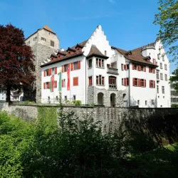 Arbon Castle (Schloss Arbon) - Arbon
