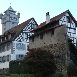 Arbon Castle (Schloss Arbon) - Arbon