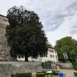 Arbon Castle (Schloss Arbon) - Arbon