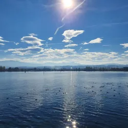 Arbon Marina - Arbon