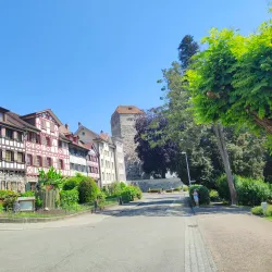 Arbon Marina - Arbon