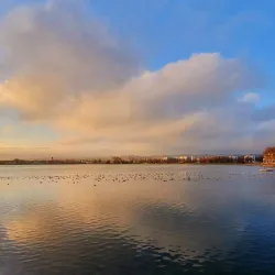 Arbon Marina - Arbon