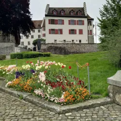 Arbon Old Town - Arbon