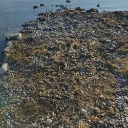 Lake Constance Promenade - Arbon