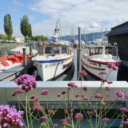 Lake Constance Promenade - Arbon