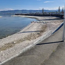 Rosenberg Park - Arbon