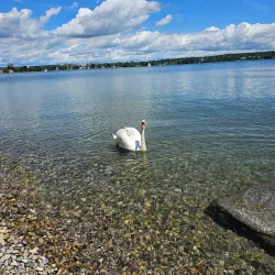 Seeburg Park - Arbon