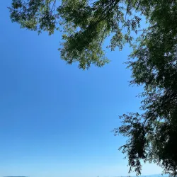 Seeburg Park - Arbon