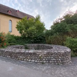 St. Martin's Church - Arbon