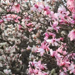 Aubonne Nature Trails - Aubonne