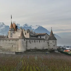 Musée de la Vigne et du Vin (Wine and Vine Museum) - Aubonne