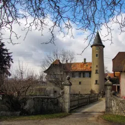 Vineyards of Aubonne - Aubonne