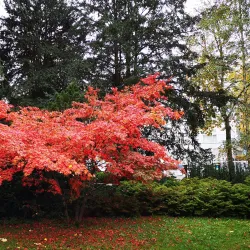 Casino Theater Baden - Baden