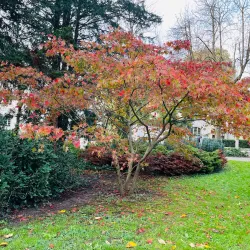 Kurpark Baden - Baden