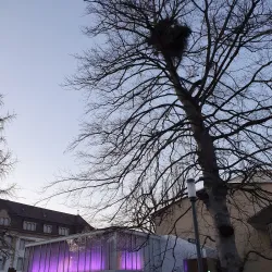 Kurpark Baden - Baden