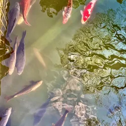 Kurpark Baden - Baden