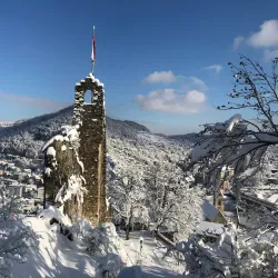 Ruins of Stein Castle - Baden