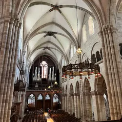 Basel Minster (Basler Münster) - Basel
