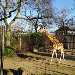 Basel Zoo - Basel