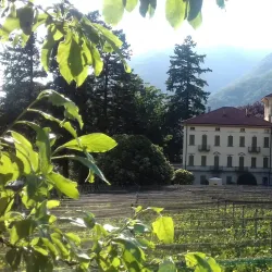 Museo Civico Villa dei Cedri - Bellinzona