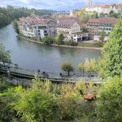 Bear Park (BärenPark) - Bern