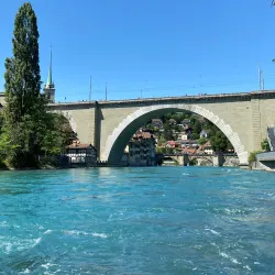 Bear Park (BärenPark) - Bern