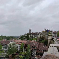 Bear Park (BärenPark) - Bern