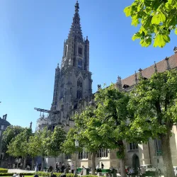 Bern Münster (Cathedral of Bern) - Bern