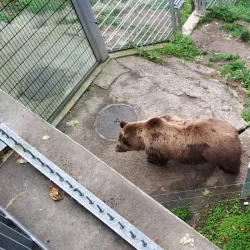 Bern Old Town (Altstadt) - Bern