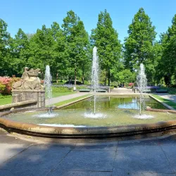 Rosengarten (Rose Garden) - Bern