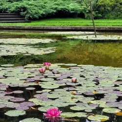 Rosengarten (Rose Garden) - Bern