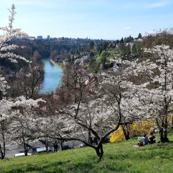 Rosengarten (Rose Garden) - Bern