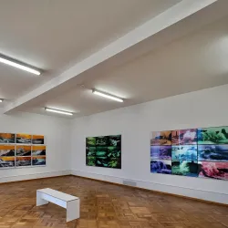 Biel/Bienne Watchmaking Museum (Centre PasquArt) - Biel