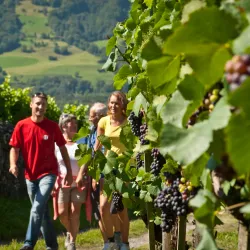 Heidiland Region - Buchs