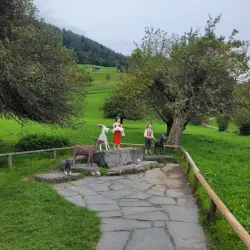 Heidiland Region - Buchs