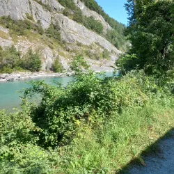 Rhine River Promenade - Buchs