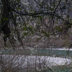 Rhine River Promenade - Buchs