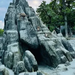 Wildpark Peter and Paul - Buchs