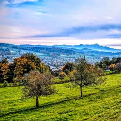 Wildpark Peter and Paul - Buchs