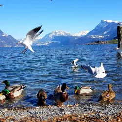 Buochs Lakeside Promenade - Buochs